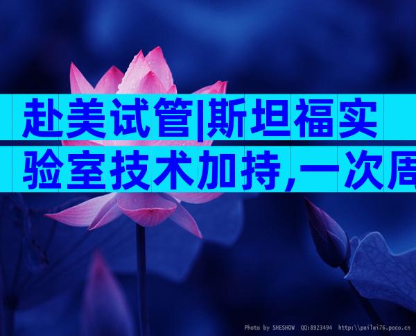 赴美试管|斯坦福实验室技术加持,一次周期收获“双重惊喜”